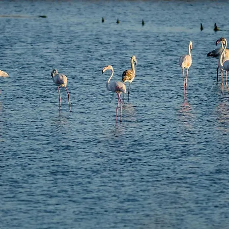 شقة Casino Figueira Prime فيغيورا دا فوز