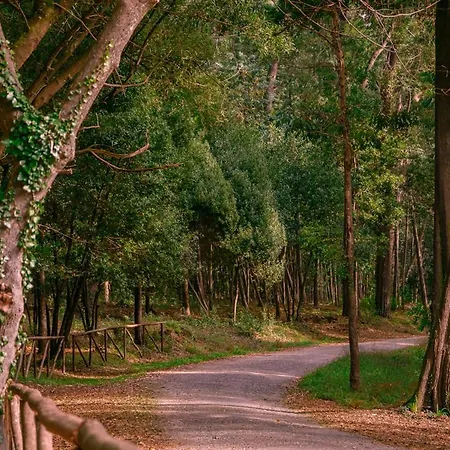 Casino Figueira Prime شقة *