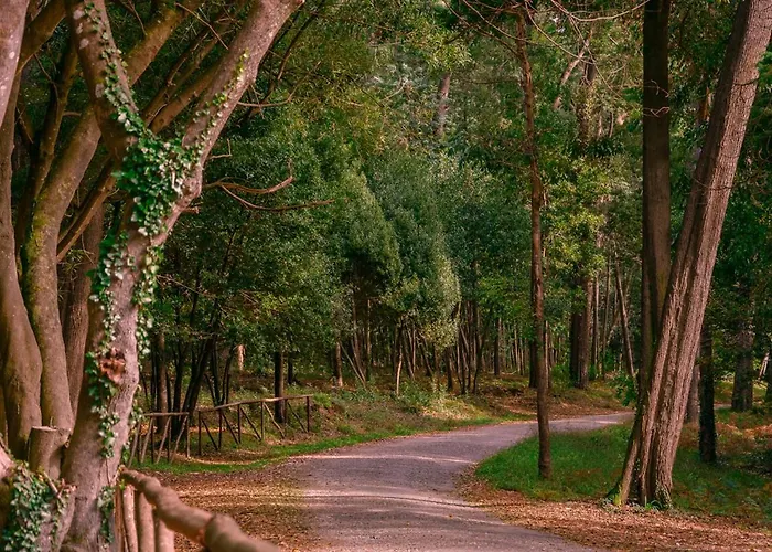 Casino Figueira Prime Διαμέρισμα *