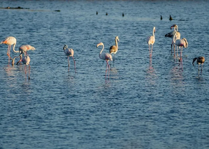 Apartamento Casino Figueira Prime Figueira da Foz